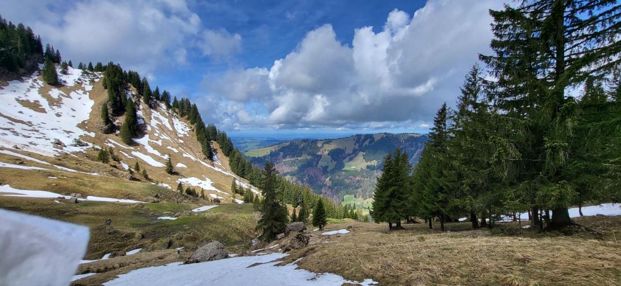 Fewo Allgaeuliebe Mit Wlan Oberstaufen Steibis Apartamento Exterior foto